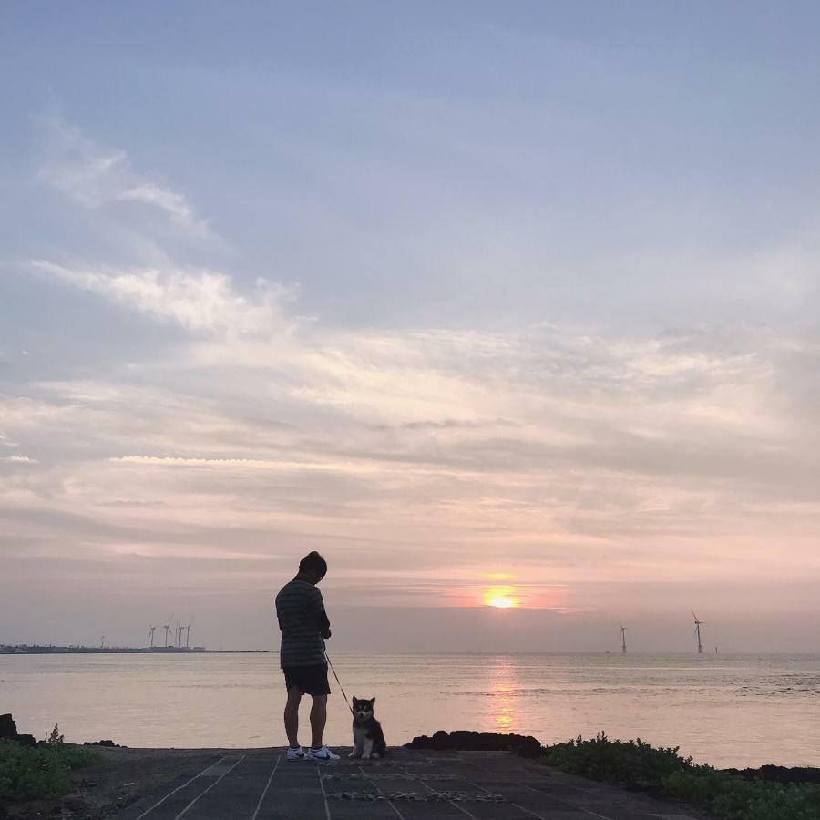 Lefthander Guesthouse Jeju Bagian luar foto