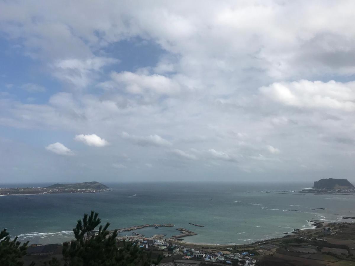Lefthander Guesthouse Jeju Bagian luar foto
